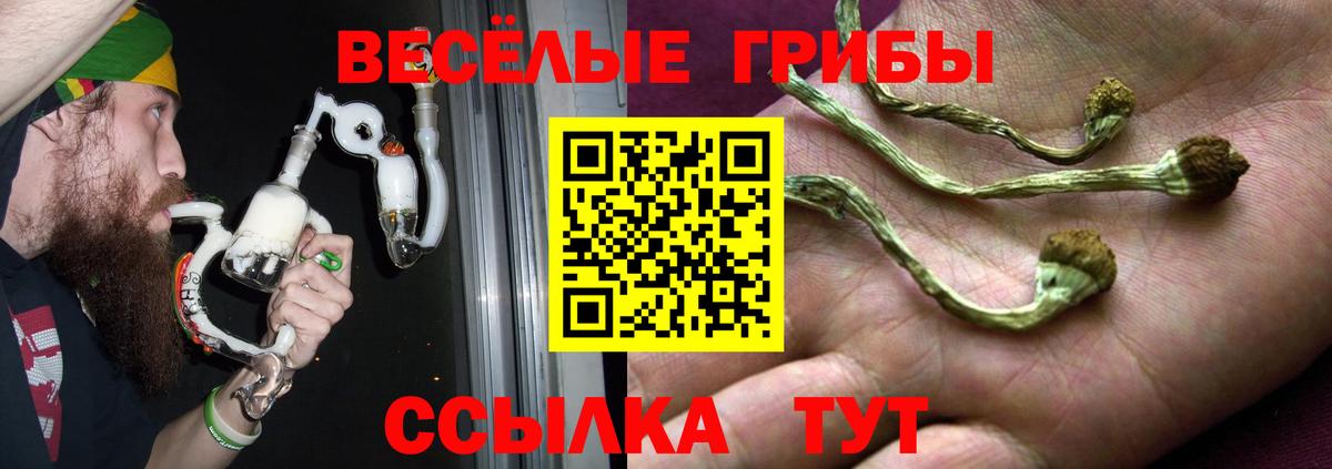 Галлюциногенные грибы Magic Shrooms Ессентуки